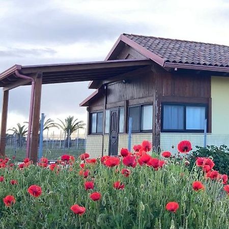 Spiaggia Le Dune Residence Margherita Di Savoia Eksteriør bilde