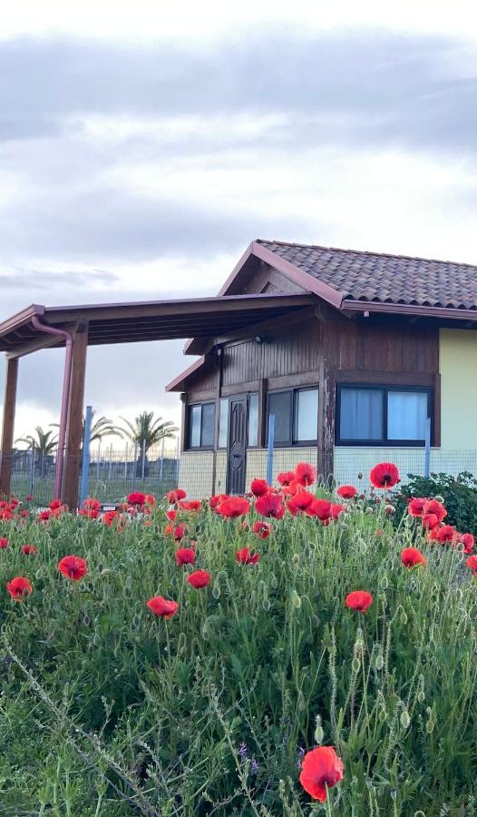 Spiaggia Le Dune Residence Margherita Di Savoia Eksteriør bilde